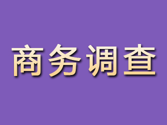 武邑商务调查