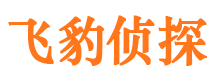 武邑市私家侦探